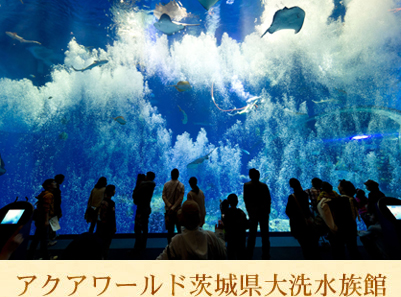 アクアワールド茨城県大洗水族館