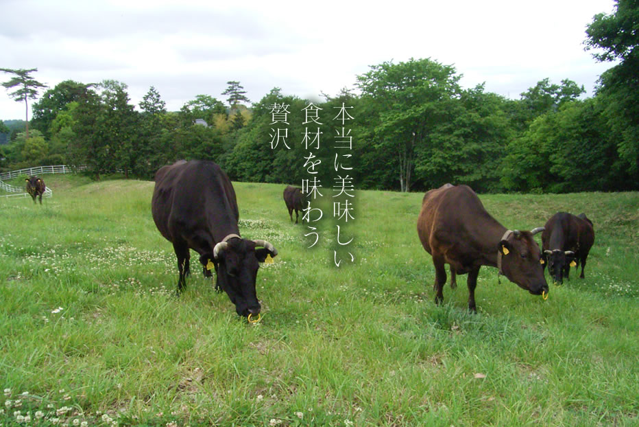 本当に美味しい食材を味わう贅沢