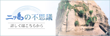二ッ島の不思議　詳しくはこちら